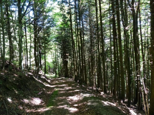 col-du-mollendruz-croy-136