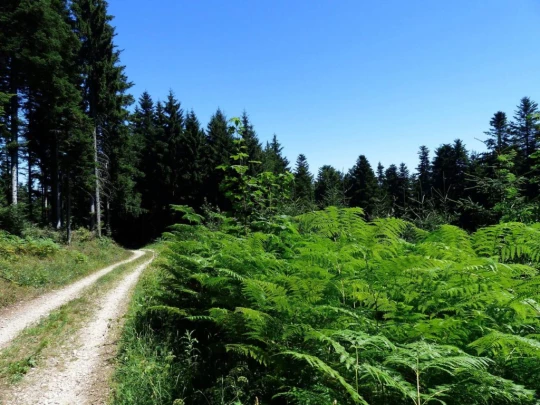 col-du-mollendruz-croy-139