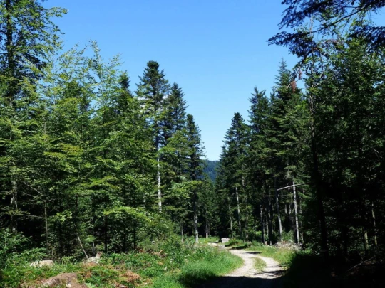 col-du-mollendruz-croy-140