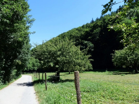 col-du-mollendruz-croy-163