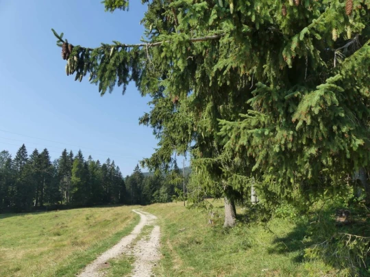 col-du-mollendruz-l-isle-102