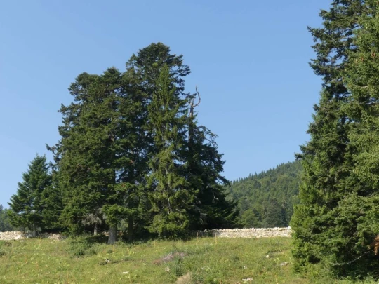 col-du-mollendruz-l-isle-105