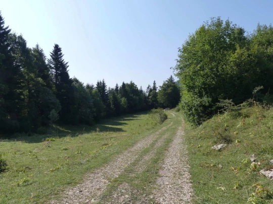 col-du-mollendruz-l-isle-107