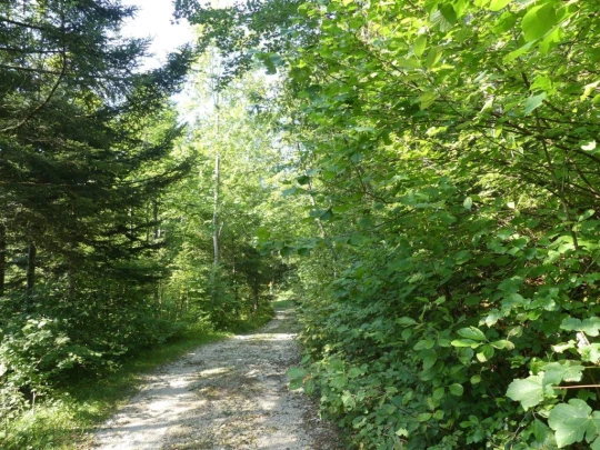 col-du-mollendruz-l-isle-108