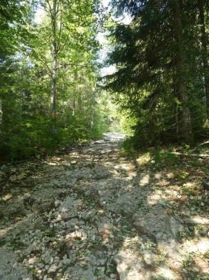 col-du-mollendruz-l-isle-109