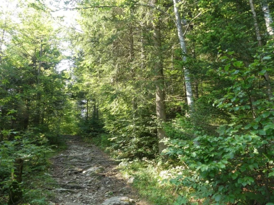 col-du-mollendruz-l-isle-110