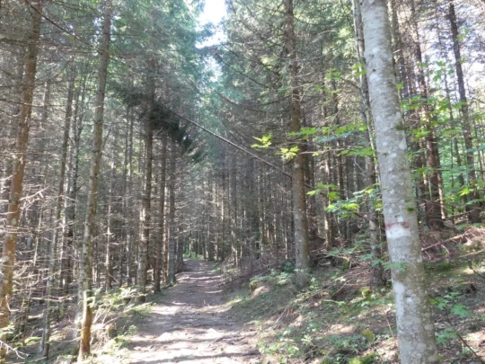 col-du-mollendruz-l-isle-111