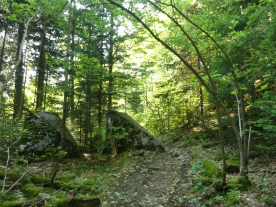 col-du-mollendruz-l-isle-113