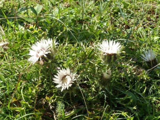 col-du-mollendruz-l-isle-116