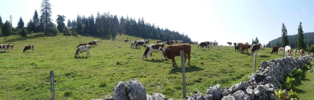 col-du-mollendruz-l-isle-124