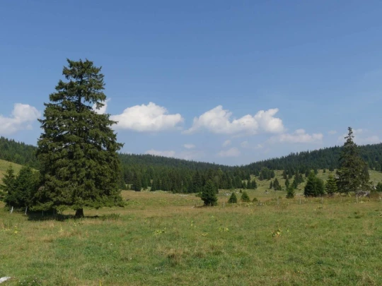 col-du-mollendruz-l-isle-126