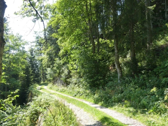 col-du-mollendruz-l-isle-134