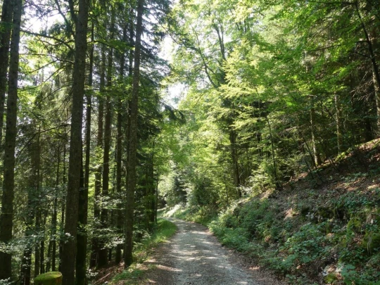 col-du-mollendruz-l-isle-136