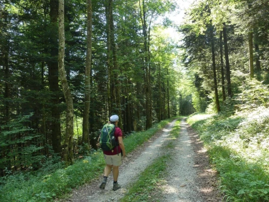 col-du-mollendruz-l-isle-138