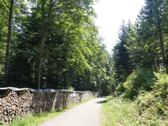 col-du-mollendruz-l-isle-144