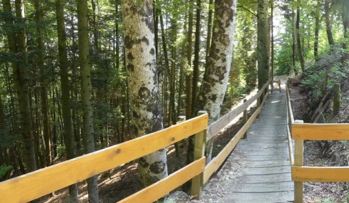 col-du-mollendruz-l-isle-147