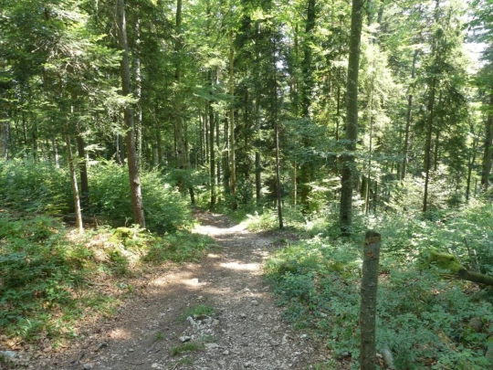 col-du-mollendruz-l-isle-150