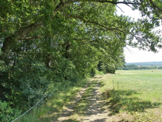 col-du-mollendruz-l-isle-172