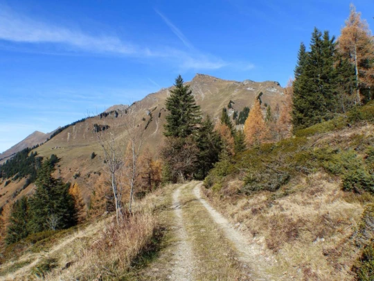 col-du-pillon-col-des-mosses-119