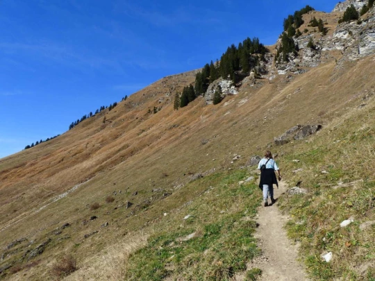 col-du-pillon-col-des-mosses-126