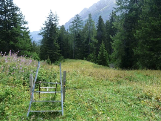Col du Pillon, Fond des Joux, Reusch, Heiti, Gsteig, Saali, Feutersoey