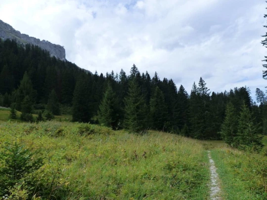 Col du Pillon, Fond des Joux, Reusch, Heiti, Gsteig, Saali, Feutersoey