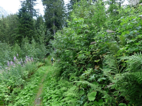 col-du-pillon-feutersoey-115