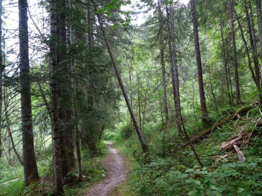 Col du Pillon, Fond des Joux, Reusch, Heiti, Gsteig, Saali, Feutersoey