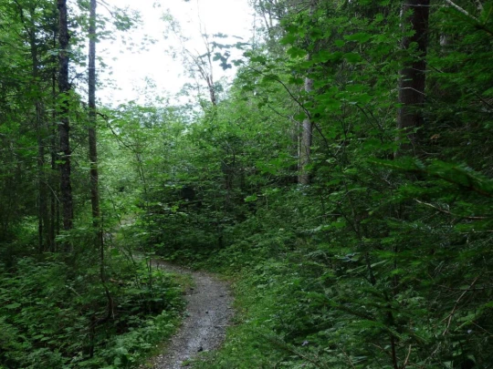 Col du Pillon, Fond des Joux, Reusch, Heiti, Gsteig, Saali, Feutersoey
