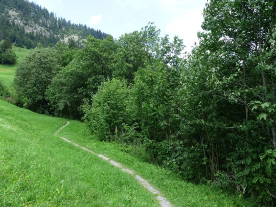 Col du Pillon, Fond des Joux, Reusch, Heiti, Gsteig, Saali, Feutersoey