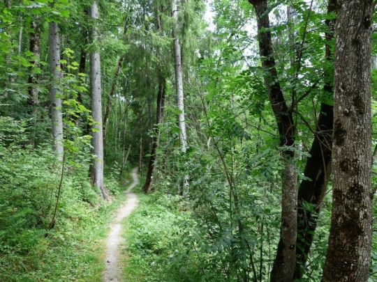Col du Pillon, Fond des Joux, Reusch, Heiti, Gsteig, Saali, Feutersoey