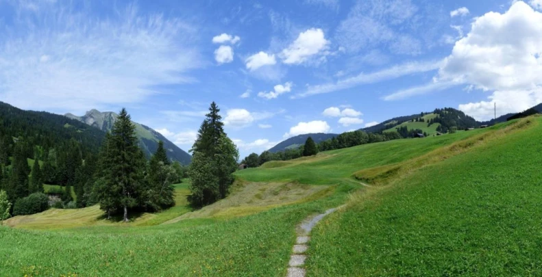 Col du Pillon, Fond des Joux, Reusch, Heiti, Gsteig, Saali, Feutersoey