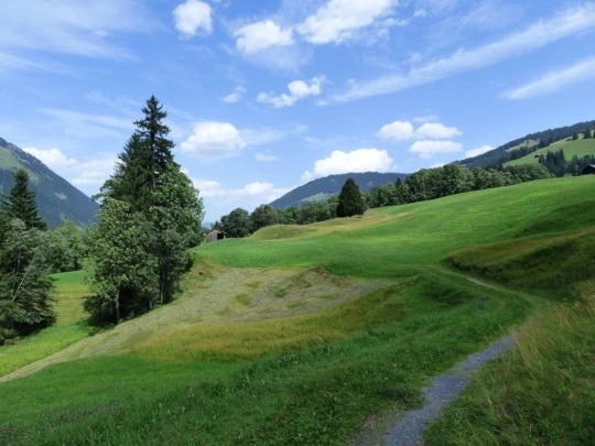 Col du Pillon, Fond des Joux, Reusch, Heiti, Gsteig, Saali, Feutersoey