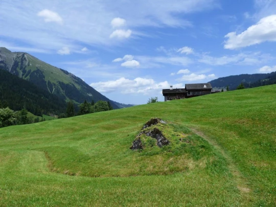 Col du Pillon, Fond des Joux, Reusch, Heiti, Gsteig, Saali, Feutersoey