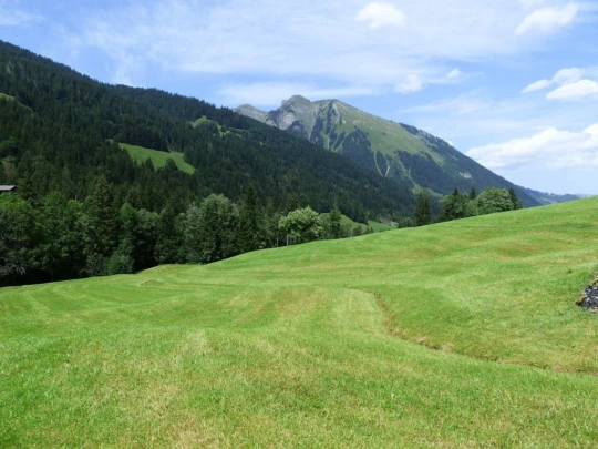 Col du Pillon, Fond des Joux, Reusch, Heiti, Gsteig, Saali, Feutersoey