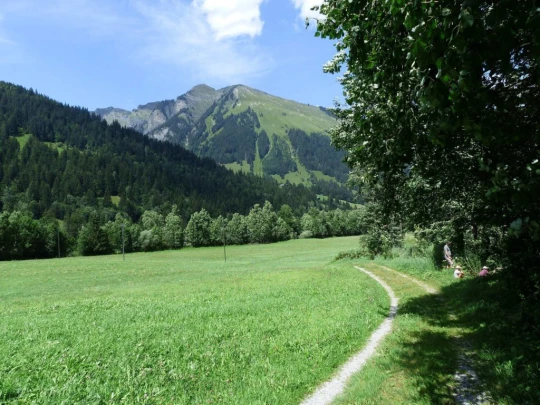 Col du Pillon, Fond des Joux, Reusch, Heiti, Gsteig, Saali, Feutersoey