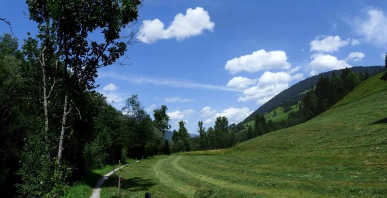 Col du Pillon, Fond des Joux, Reusch, Heiti, Gsteig, Saali, Feutersoey