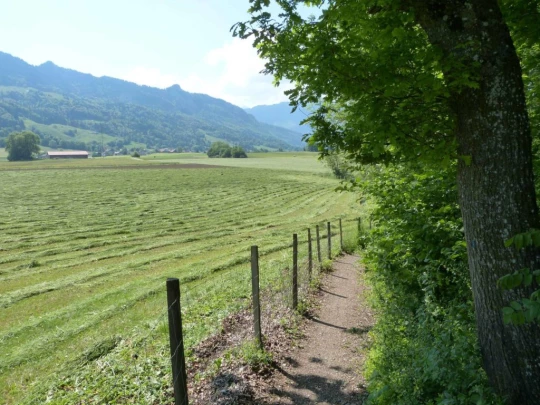 Corbières bord du lac de Gruyères Botterens Broc-Fabrique