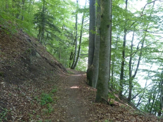 Corbières bord du lac de Gruyères Botterens Broc-Fabrique