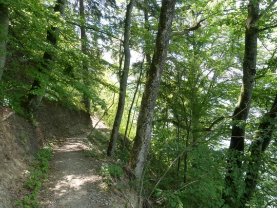 Corbières bord du lac de Gruyères Botterens Broc-Fabrique
