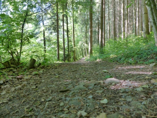 Corbières Les Planches chemin du lac de Gruyère Broc bois de Bouleyres Bulle