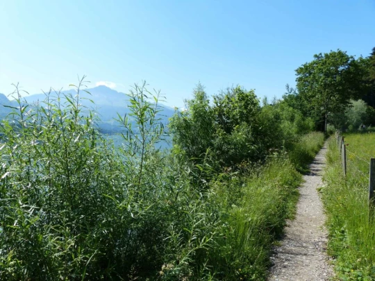 Corbières Les Planches chemin du lac de Gruyère Broc bois de Bouleyres Bulle