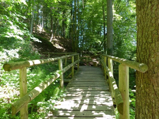 Corbières Les Planches chemin du lac de Gruyère Broc bois de Bouleyres Bulle