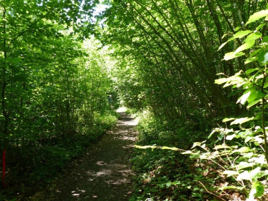Corbières Les Planches chemin du lac de Gruyère Broc bois de Bouleyres Bulle