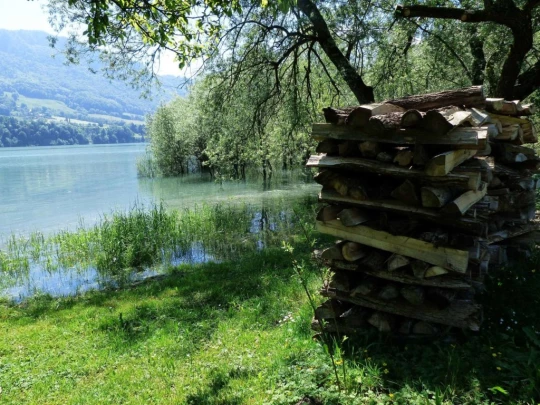 Corbières Les Planches chemin du lac de Gruyère Broc bois de Bouleyres Bulle