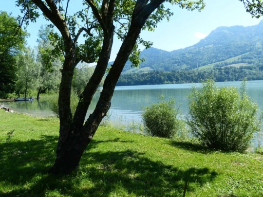 Corbières Les Planches chemin du lac de Gruyère Broc bois de Bouleyres Bulle