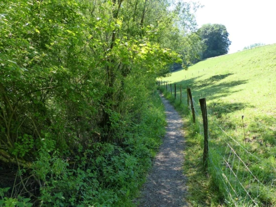Corbières Les Planches chemin du lac de Gruyère Broc bois de Bouleyres Bulle