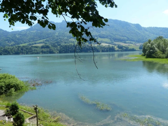 Corbières Les Planches chemin du lac de Gruyère Broc bois de Bouleyres Bulle