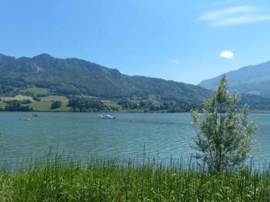 Corbières Les Planches chemin du lac de Gruyère Broc bois de Bouleyres Bulle