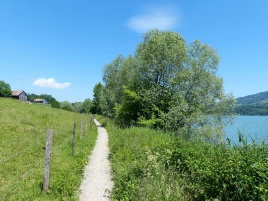 Corbières Les Planches chemin du lac de Gruyère Broc bois de Bouleyres Bulle